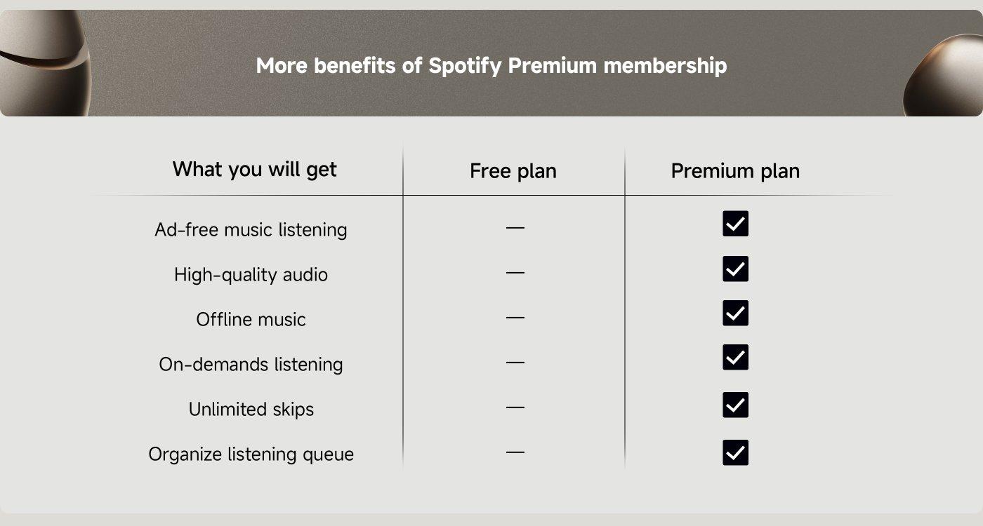 Spotify Premium 2
