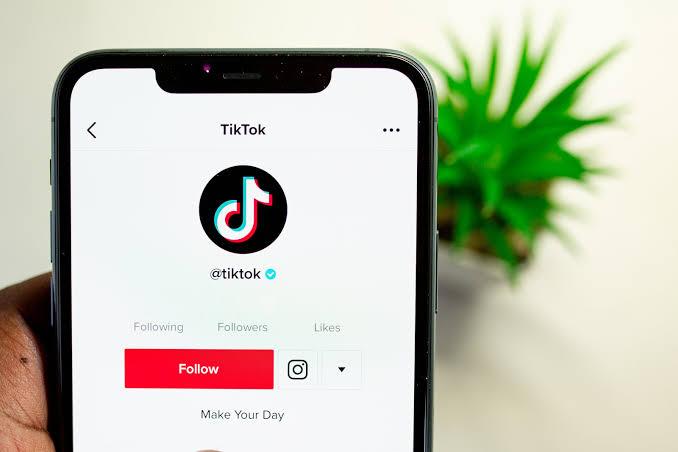 1000 Tiktok Followers Indonesia - NON DROP 3
